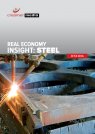Real Economy Insight 2016: Steel