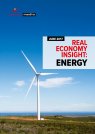 Real Economy Insight 2017: Energy