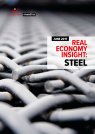 Real Economy Insight 2017: Steel