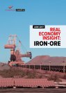 Real Economy Insight 2017: Iron-Ore
