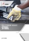 Real Economy Insight 2018: Steel