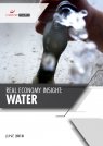 Real Economy Insight 2018: Water