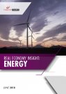 Real Economy Insight 2018: Energy