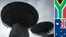 Square Kilometre Array project, Africa and Australia
