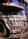 Real Economy Insight 2021 cover image for Iron-ore