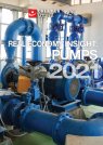 Real Economy Insight 2021 cover image for Pumps