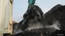 An image of an excavator loading coal onto a dump