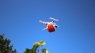 Drones deliver predator bugs for sustainable pest control