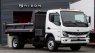 The above image depicts the latest trucks offered by RIZON 