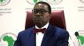 Debt transparency needed as opaque resource-backed loans hinder African development – Adesina