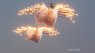 South African Air Force Denel Rooivalk attack helicopters deploy flares from their defensive aids suites during a display