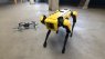 A Skydio drone and Boston Dynamics robot dog