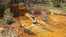 Krugersdorp children in danger of poisoning from abandoned mines, UP scientist says