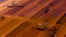 Iron-ore stockpiles in Pilbara