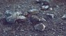 Oropesa tin project, Spain