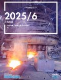 Steel 2025/6: Policies, Tariffs, and Survival