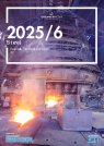 Steel 2025/6: Policies, Tariffs, and Survival