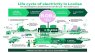 Life cycle of electricity at Loviisa