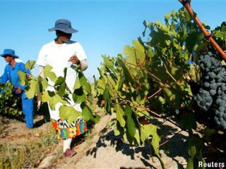 ECC to consider inputs on farmworkers' wages