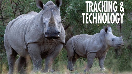 New technologies, old-fashioned tracking techniques blended as rhino poaching battle heats up