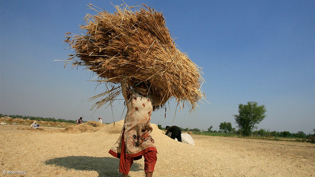 Index shows improvement in sub-Saharan Africa food security