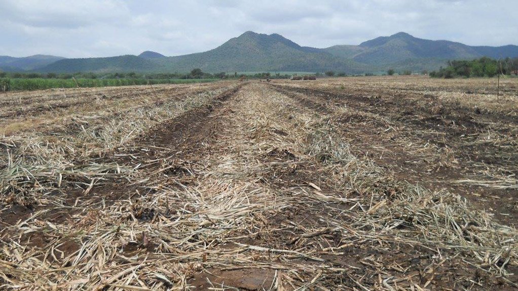 NKOMAZI SUGAR CANES Small-scale sugar growers (SSGs) in Mpumalanga typically produce 450 000 t/y of sugar cane, with more than 1 200 SSGs in the Nkomazi district