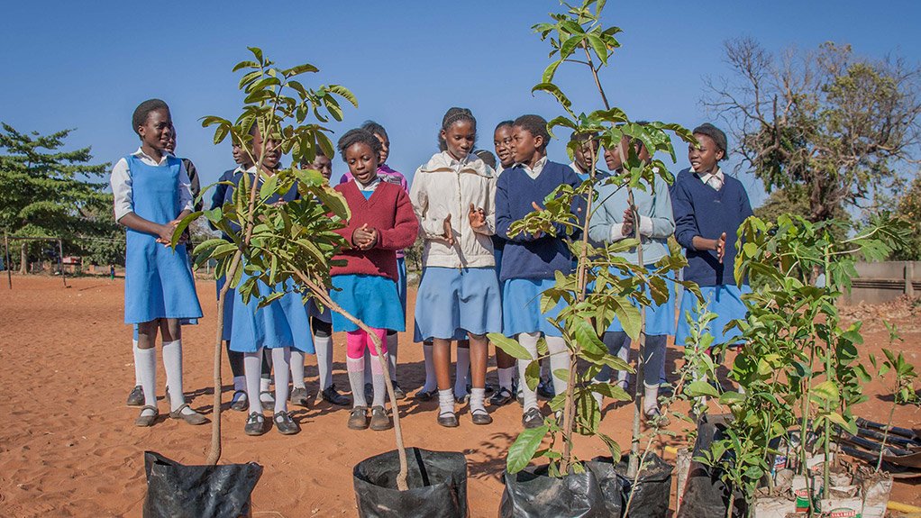 Engen fuel sponsorship ‘drives’ successful Trees for Zambia 2013 campaign