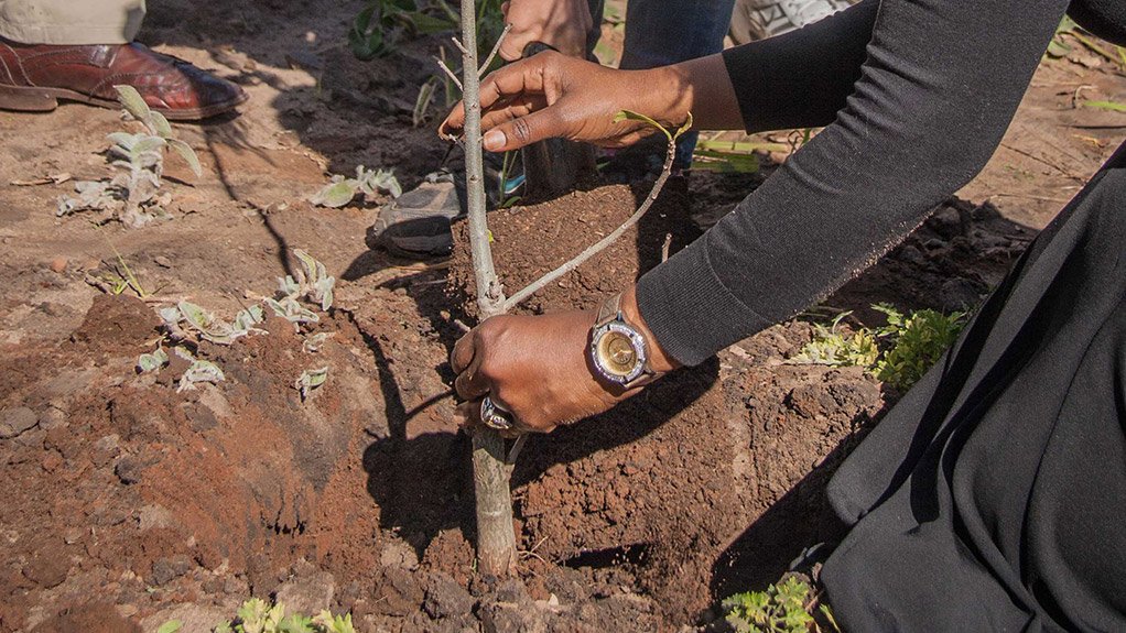 Engen fuel sponsorship ‘drives’ successful Trees for Zambia 2013 campaign