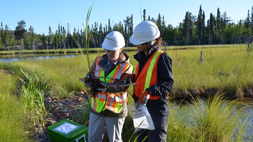 Fortune Minerals is working with Contango Strategies to find a wetland solution for the Nico project, as part of its closure and reclamation strategy