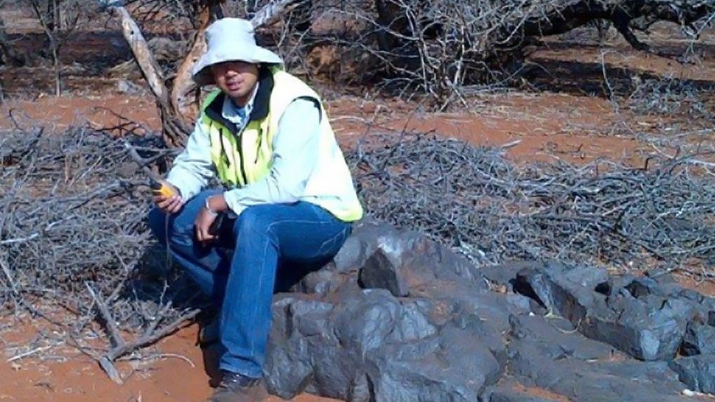 Ironveld pig iron project, South Africa