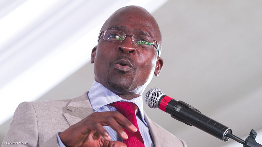 Minister of Public Enterprises Malusi Gigaba on SA's 20 years of democracy