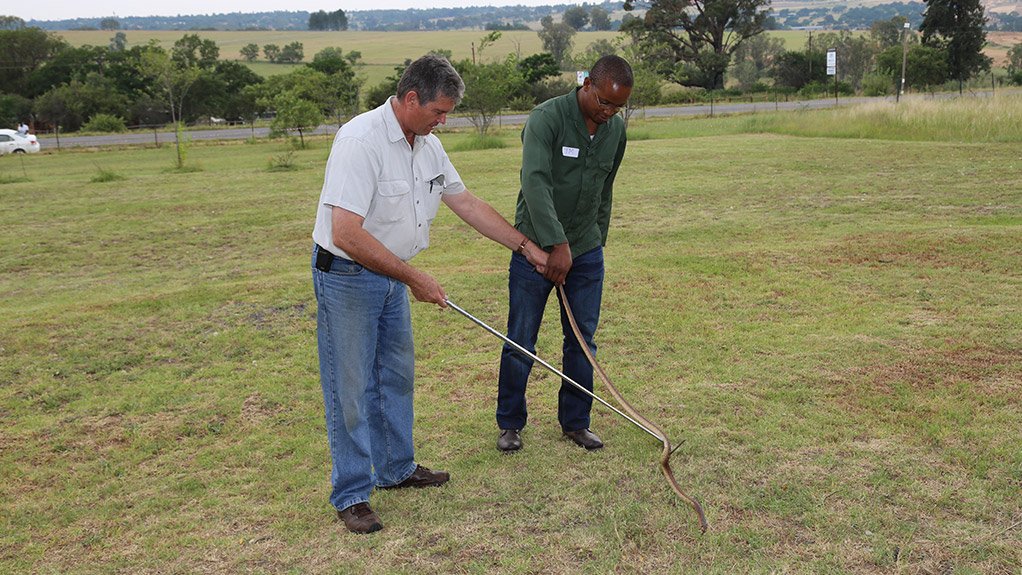 HANDS-ON TRAINING Mike Perry shows a delegate how to handle a Mozambique spitting cobra 