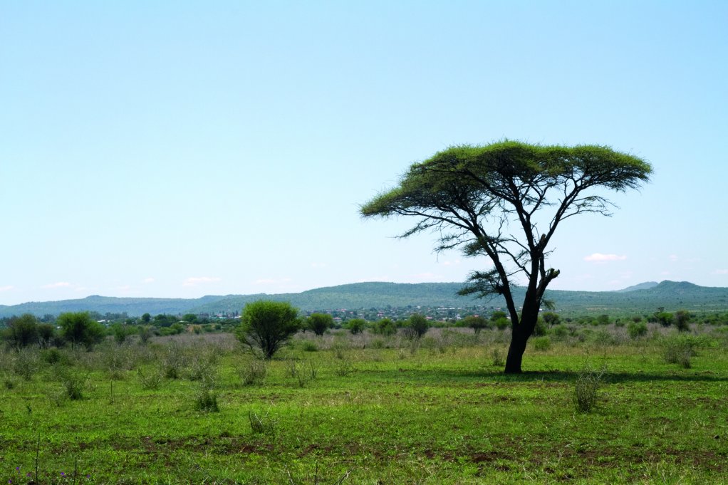 Bushveld Minerals licence area in Limpopo