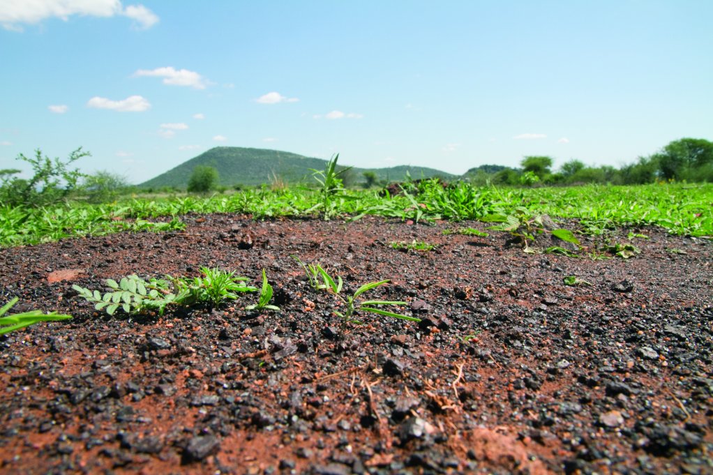 Bushveld Minerals licence area in Limpopo