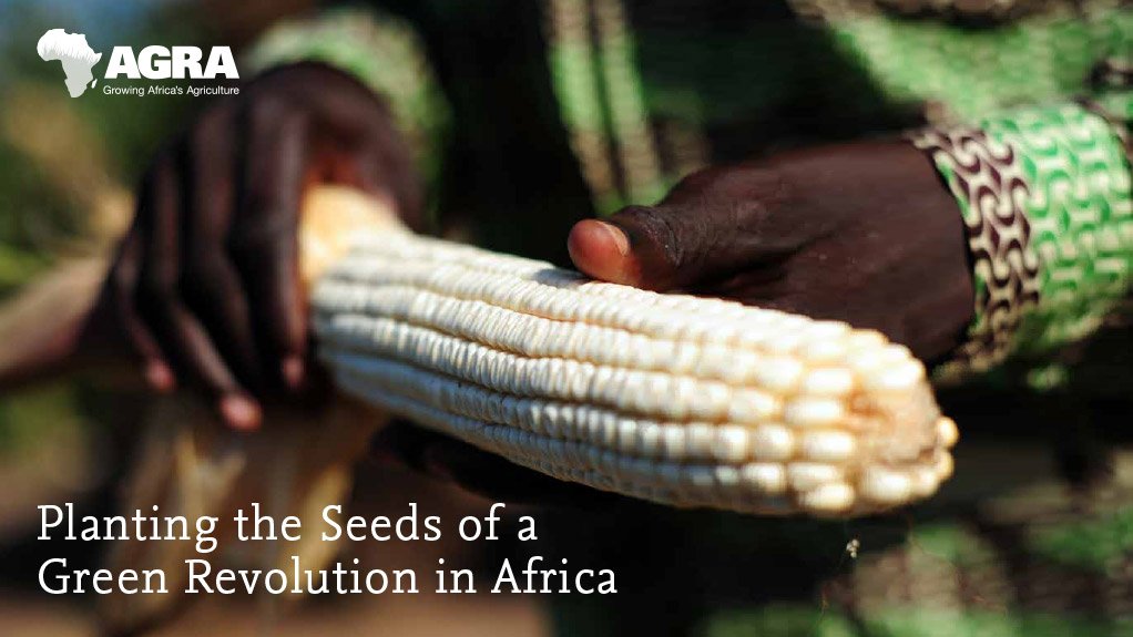 Planting the seeds of a green revolution in Africa (May 2014)