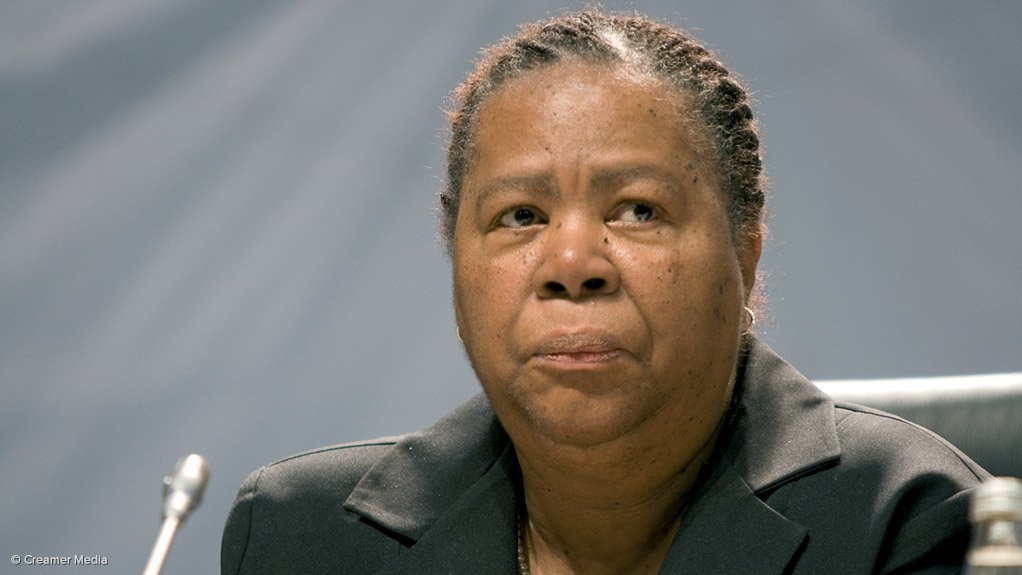 NALEDI PANDOR The feasibility of the prospective business venture and the benefits it would have for the South African economy will be assessed before a business visa is granted  