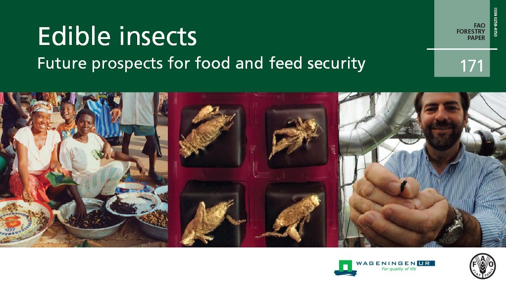 Edible insects – Future prospects for food and feed security (May 2014)