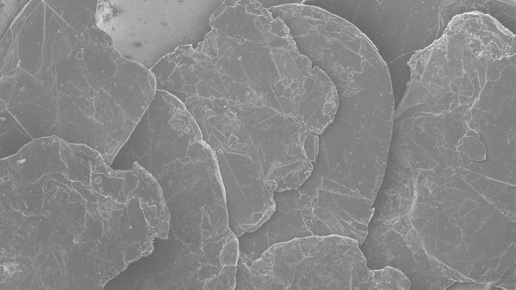 High-grade spherical graphite under a microscope.