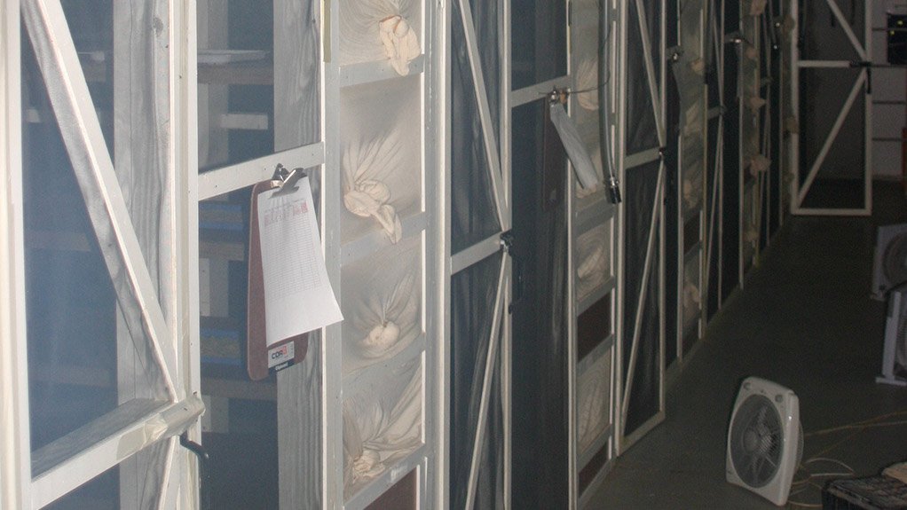    First commercial fly farms moving  ahead with 40 more planned