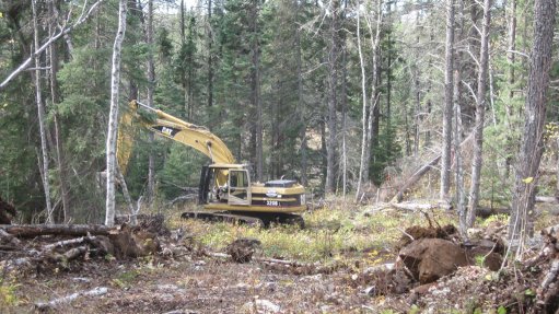 Transition Metals expands known PGM mineralisation at Ontario project