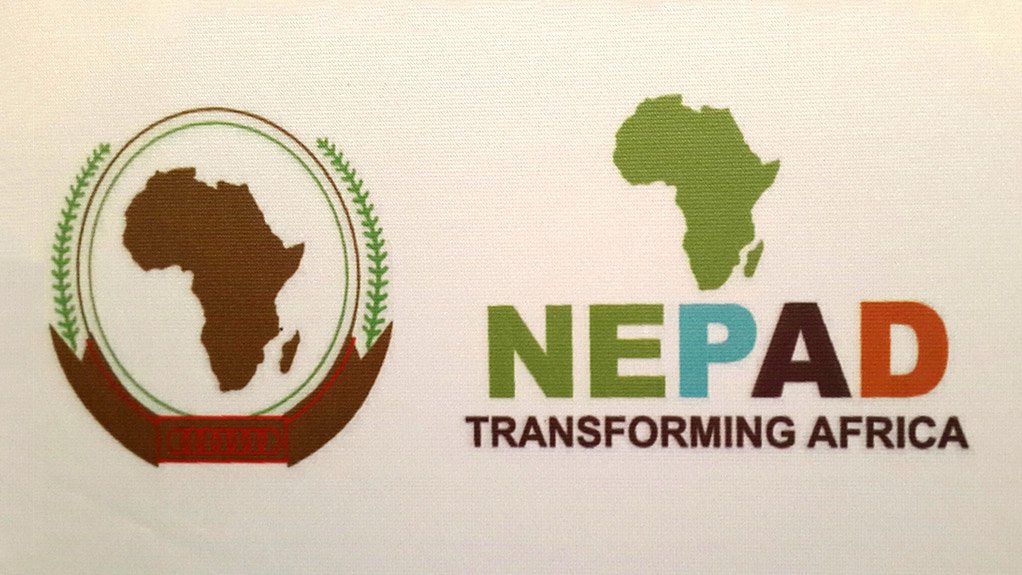 Nepad chief appointed interim CEO of APRM  