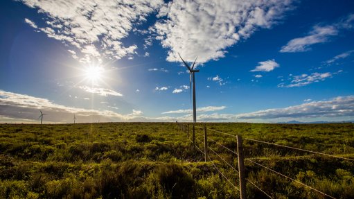 Global renewables investors warn SA prices becoming ‘dangerously low’