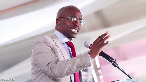 Immigration rules will not be changed – Gigaba