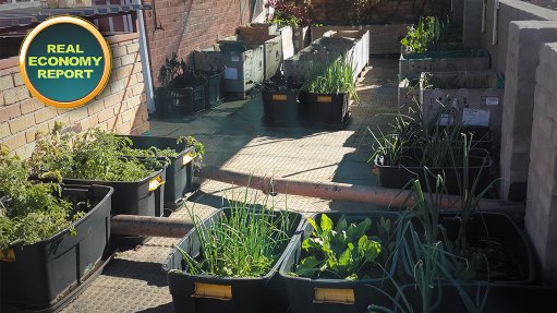 Rooftop garden to enhance food security
