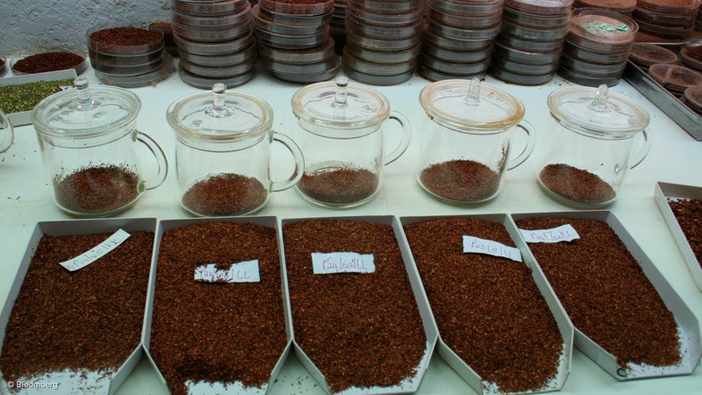 Rooibos tea samples