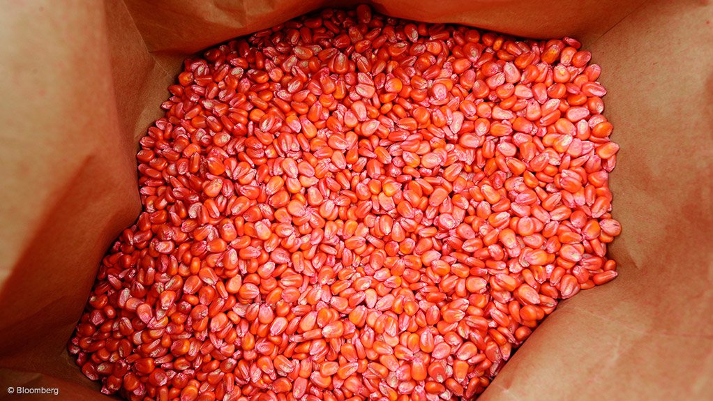 SEED TREATMENT Seed treatment can consist of several different active ingredients such as fungicide and storage insecticide, which are applied directly to seeds