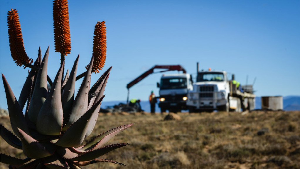 An aloe plant in the foreground as construction gets under way at the Amakhala Emoyeni wind farm project site