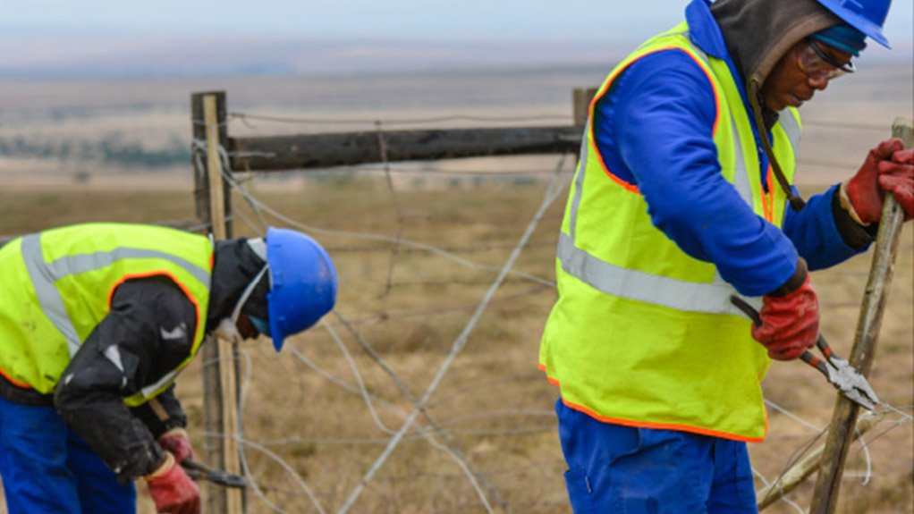 Workers on site in Bedford, in the Eastern Cape