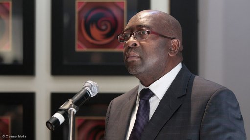 Greatest challenges to SA growth are homegrown, says Nene
