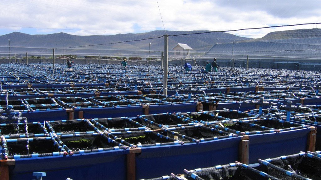 CDC hatches plan for R2bn aquafarm facility in Coega IDZ